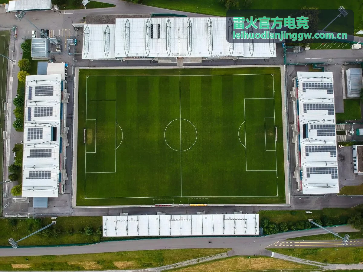 雷火官方电竞新手学院主流赛事体系观赛教程封面